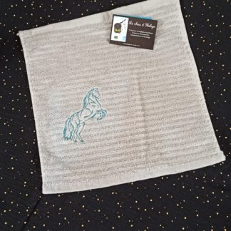 Serviette invitée