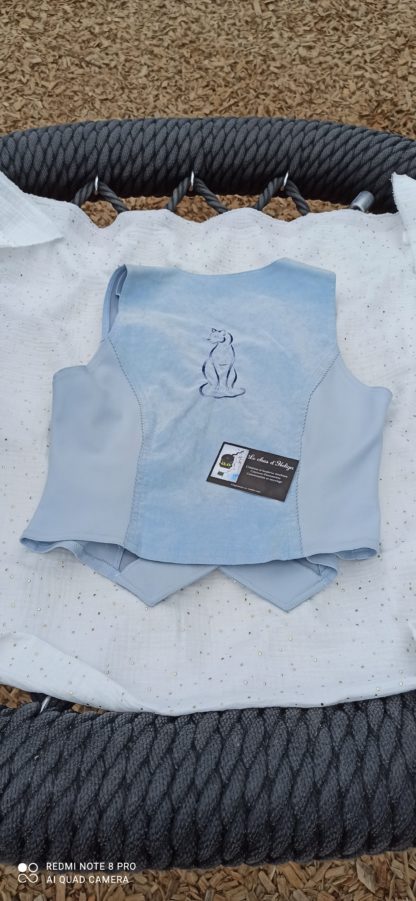 Veste sans manche bleue